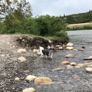 Meet your Posher, Jenny